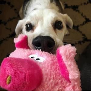 Meet your Posher, Maureen